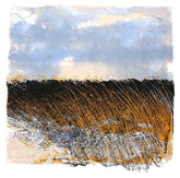 Print - Lough Erne Reed Bed